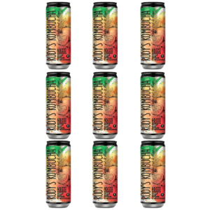 Passion Fruit & Mango Kombucha (9x330ml)